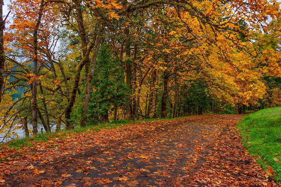 Fall in Stewiacke